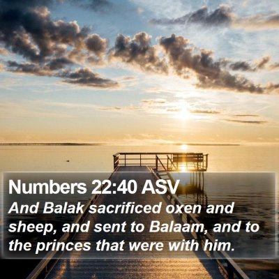 Numbers 22:40 ASV Bible Verse Image