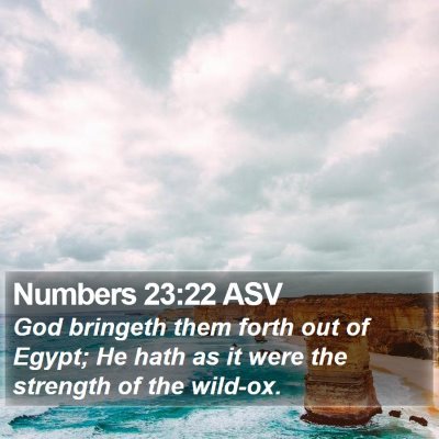 Numbers 23:22 ASV Bible Verse Image