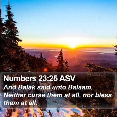 Numbers 23:25 ASV Bible Verse Image