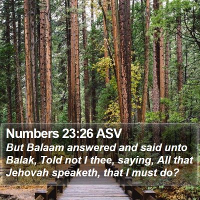 Numbers 23:26 ASV Bible Verse Image
