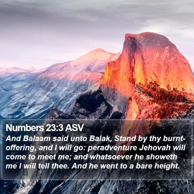 Numbers 23:3 ASV Bible Verse Image