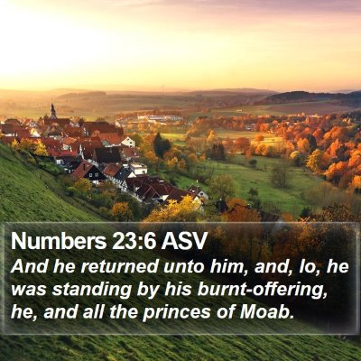 Numbers 23:6 ASV Bible Verse Image