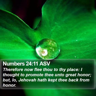 Numbers 24:11 ASV Bible Verse Image