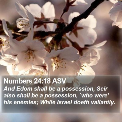Numbers 24:18 ASV Bible Verse Image