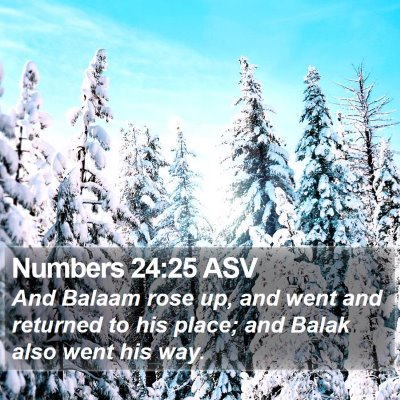 Numbers 24:25 ASV Bible Verse Image