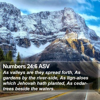Numbers 24:6 ASV Bible Verse Image