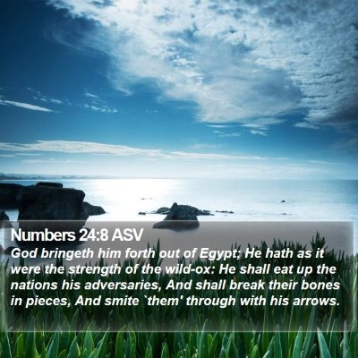 Numbers 24:8 ASV Bible Verse Image