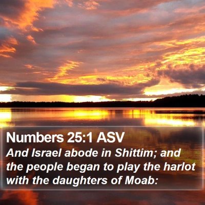 Numbers 25:1 ASV Bible Verse Image