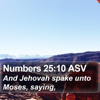Numbers 25:10 ASV Bible Verse Image