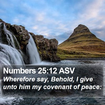 Numbers 25:12 ASV Bible Verse Image