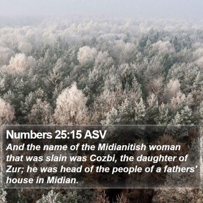 Numbers 25:15 ASV Bible Verse Image