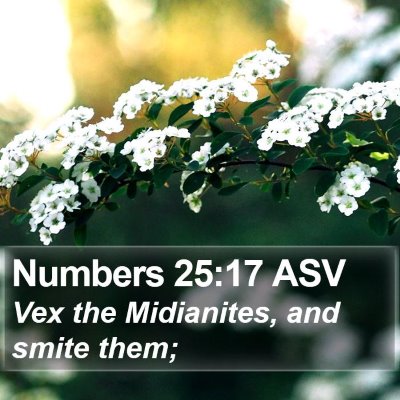 Numbers 25:17 ASV Bible Verse Image