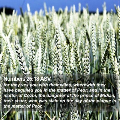Numbers 25:18 ASV Bible Verse Image