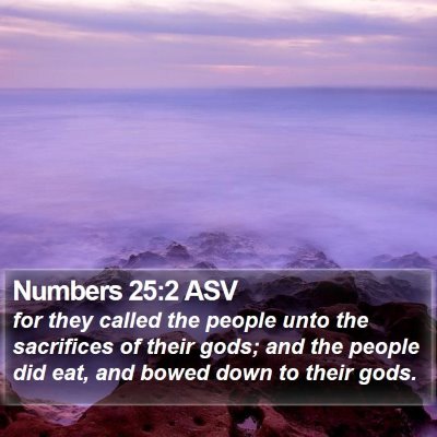 Numbers 25:2 ASV Bible Verse Image