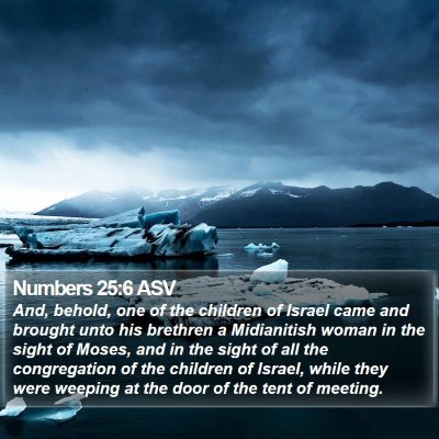 Numbers 25:6 ASV Bible Verse Image