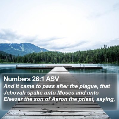 Numbers 26:1 ASV Bible Verse Image