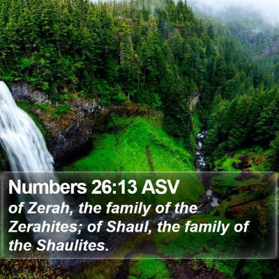 Numbers 26:13 ASV Bible Verse Image