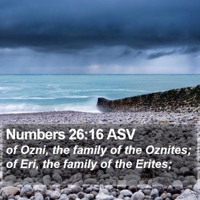 Numbers 26:16 ASV Bible Verse Image