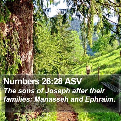 Numbers 26:28 ASV Bible Verse Image