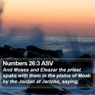 Numbers 26:3 ASV Bible Verse Image