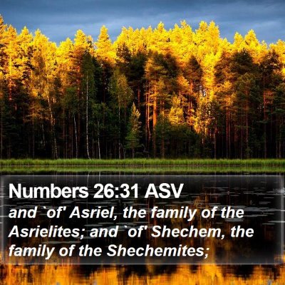 Numbers 26:31 ASV Bible Verse Image