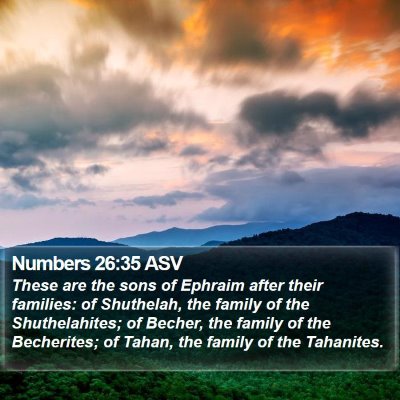 Numbers 26:35 ASV Bible Verse Image
