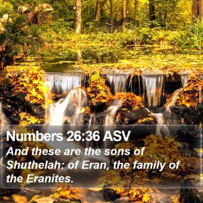 Numbers 26:36 ASV Bible Verse Image