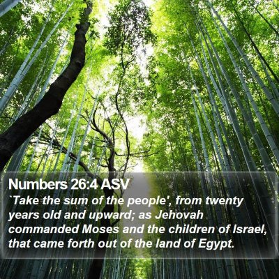 Numbers 26:4 ASV Bible Verse Image