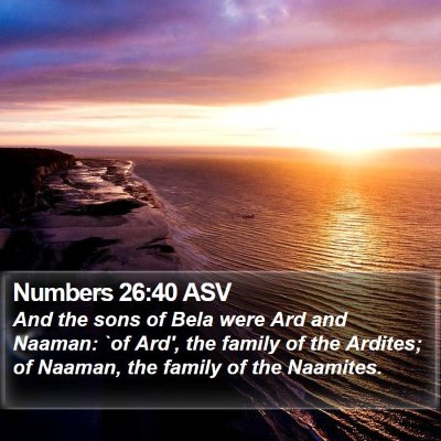 Numbers 26:40 ASV Bible Verse Image