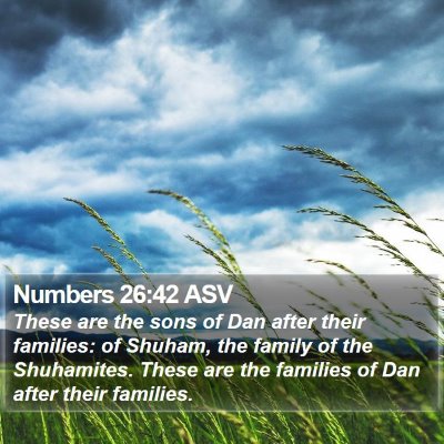 Numbers 26:42 ASV Bible Verse Image