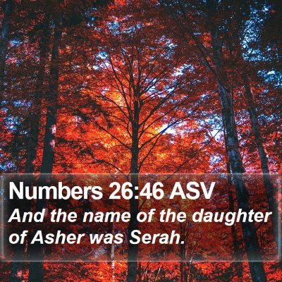 Numbers 26:46 ASV Bible Verse Image