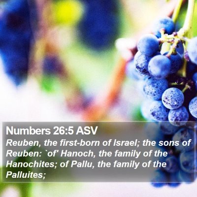 Numbers 26:5 ASV Bible Verse Image