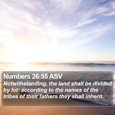 Numbers 26:55 ASV Bible Verse Image