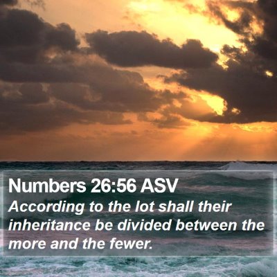 Numbers 26:56 ASV Bible Verse Image
