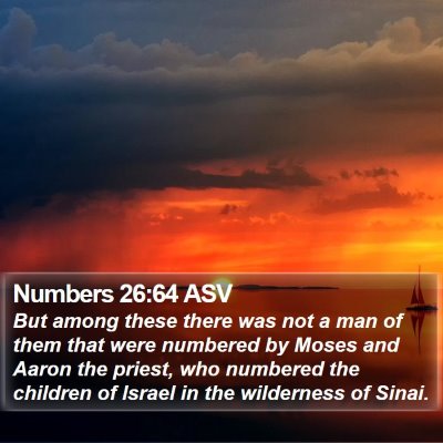 Numbers 26:64 ASV Bible Verse Image