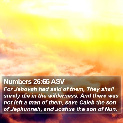 Numbers 26:65 ASV Bible Verse Image