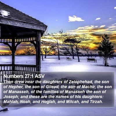 Numbers 27:1 ASV Bible Verse Image