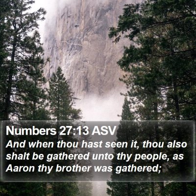 Numbers 27:13 ASV Bible Verse Image