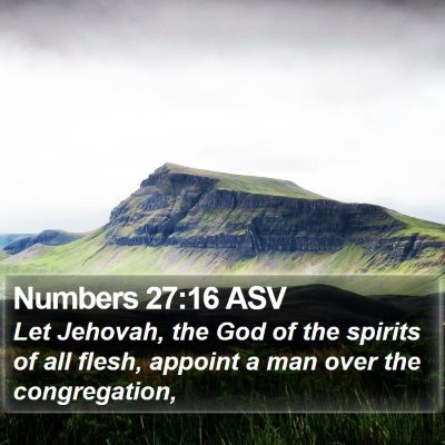 Numbers 27:16 ASV Bible Verse Image