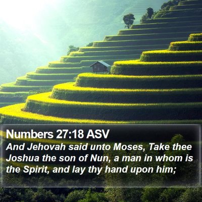Numbers 27:18 ASV Bible Verse Image