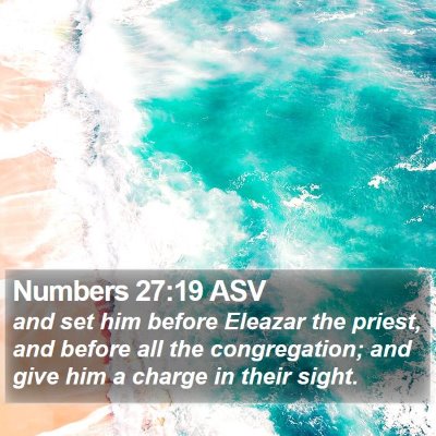 Numbers 27:19 ASV Bible Verse Image