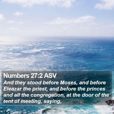 Numbers 27:2 ASV Bible Verse Image