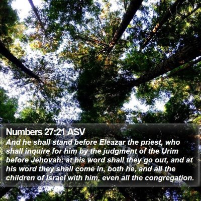 Numbers 27:21 ASV Bible Verse Image