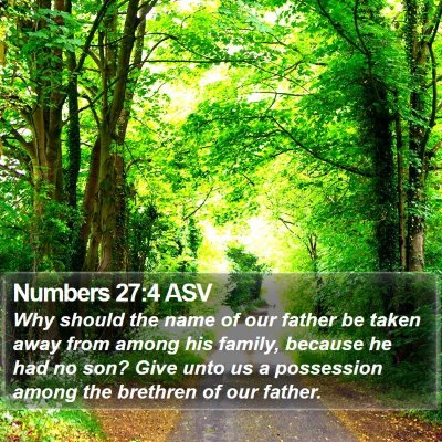 Numbers 27:4 ASV Bible Verse Image