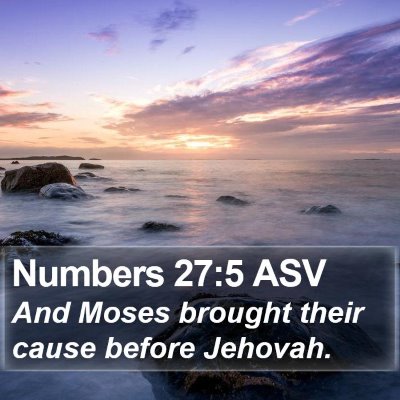 Numbers 27:5 ASV Bible Verse Image