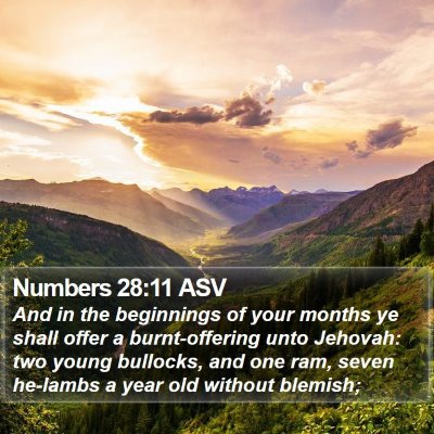 Numbers 28:11 ASV Bible Verse Image