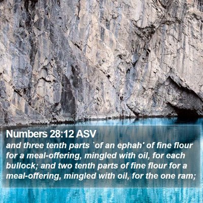 Numbers 28:12 ASV Bible Verse Image