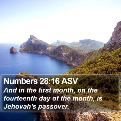 Numbers 28:16 ASV Bible Verse Image
