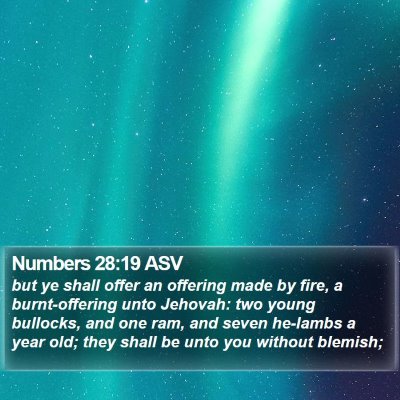 Numbers 28:19 ASV Bible Verse Image