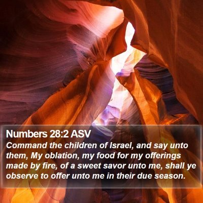 Numbers 28:2 ASV Bible Verse Image